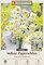 Wintersun Paperwhite Narcissus - 4 Bulbs - 15/16 cm Bulbs - Indoor/Very Fragrant